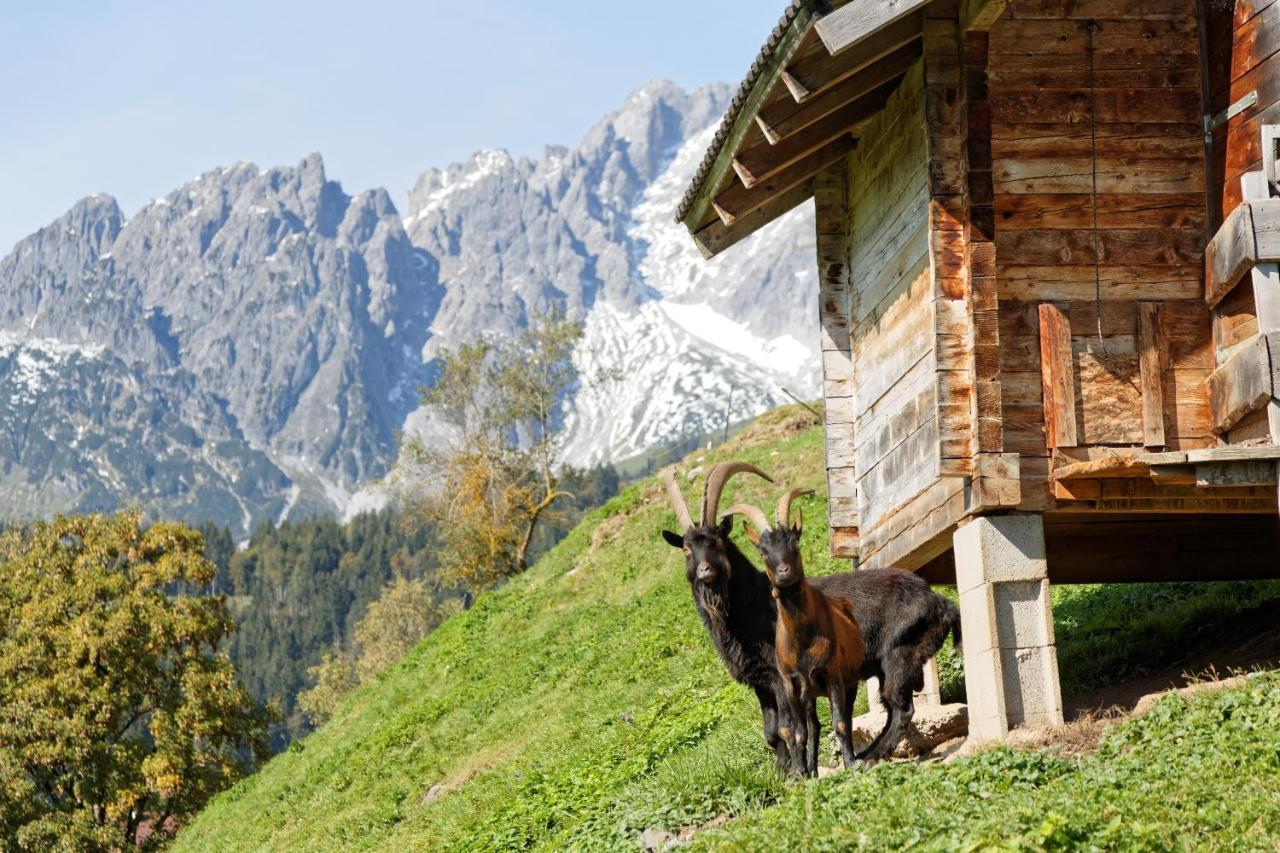 Gut Stein Panoramalodge Mühlbach am Hochkönig Buitenkant foto
