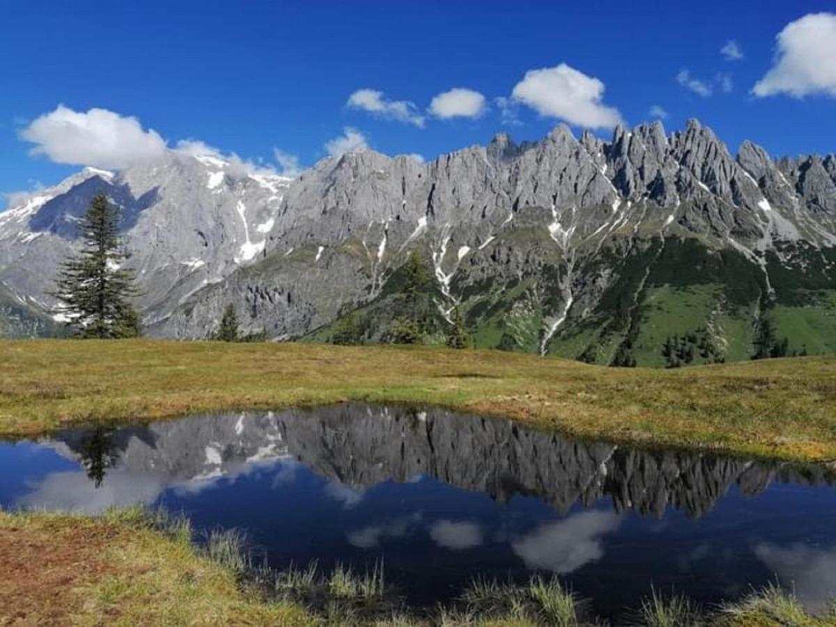 Gut Stein Panoramalodge Mühlbach am Hochkönig Buitenkant foto